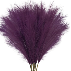 dark purple pampas grass